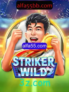Descubra o Mundo de Aventura com StrikerWILD